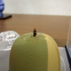 Illustration for article titled Some of the Smallest (and Most Amazing) Figures on Earth